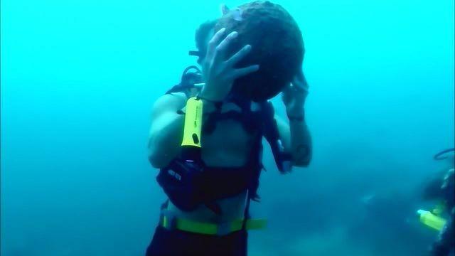 海南三亚7岁男孩被旅游大巴车辗轧身亡,相关部门介入调查